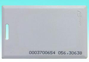 Quality MANGO ID Thick Card wholesale