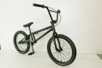 Racing Steel Frame 20 Inch Freestyle BMX Bike Crmoly