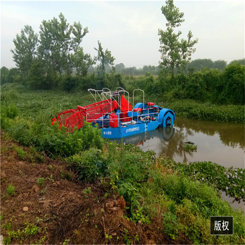 clearing of water hyacinth