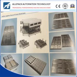 Quality Custom Thermoforming Mould Large Plastic Parts ISO Certification wholesale