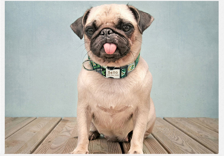Durability Polyester Dog Collar