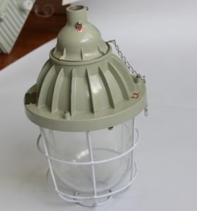 Quality ATEX Explosion Proof Lamps Flameproof IP55 Optional Lamp Shade 220VAC, 50-60Hz wholesale