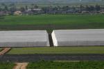 hot sale 70g 16mesh 2.5x30yards Pest Exclusion Greenhouse Plastic Net