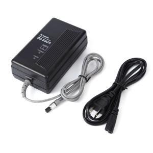 Quality Black 9.0V GTS-300 Energizer Nimh Battery Charger BC-20CR wholesale