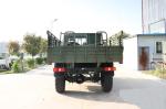 12.5R20 Tire 4X4 Truck for Off Road Cargo Transport in Africa's Extreme