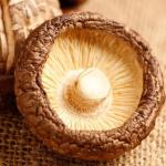 Medium Texture Dried Shiitake Mushrooms With Dry Texture High Protein Nutrition