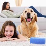 PORTABLE LINT REMOVER PET HAIR REMOVER BRUSH