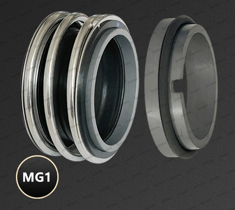 BERGMAN 109/MG1-12mm-110mm G60 G4 G6 G9 G13 G16 BS Bo BP Pump Mechanical Seal