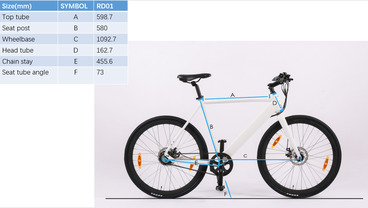 Standard Style Carbon Belt Drive EBike LCD Display Electric Bike with 9.6 AH Capacity