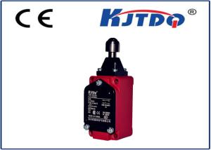 Quality High Temperature Industrial Limit Switches Thermoplastic Roller Lever Mental Cast wholesale