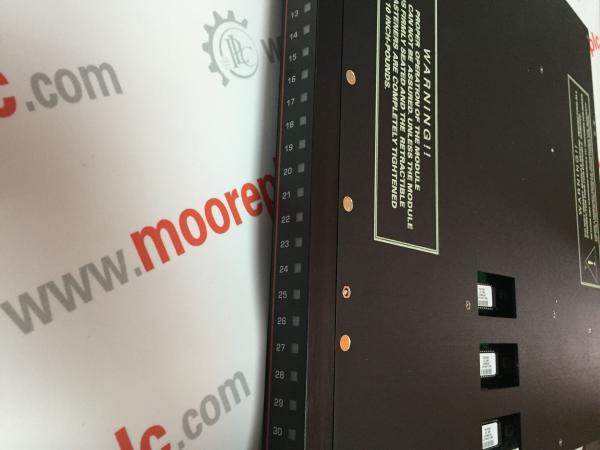 Triconex DCS Module 9753-110 1700X600 100PLINTH+1200EQUIP+400ROOF High