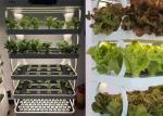 Intelligent Indoor Hydroponic Greenhouse Fodder Container Growing System