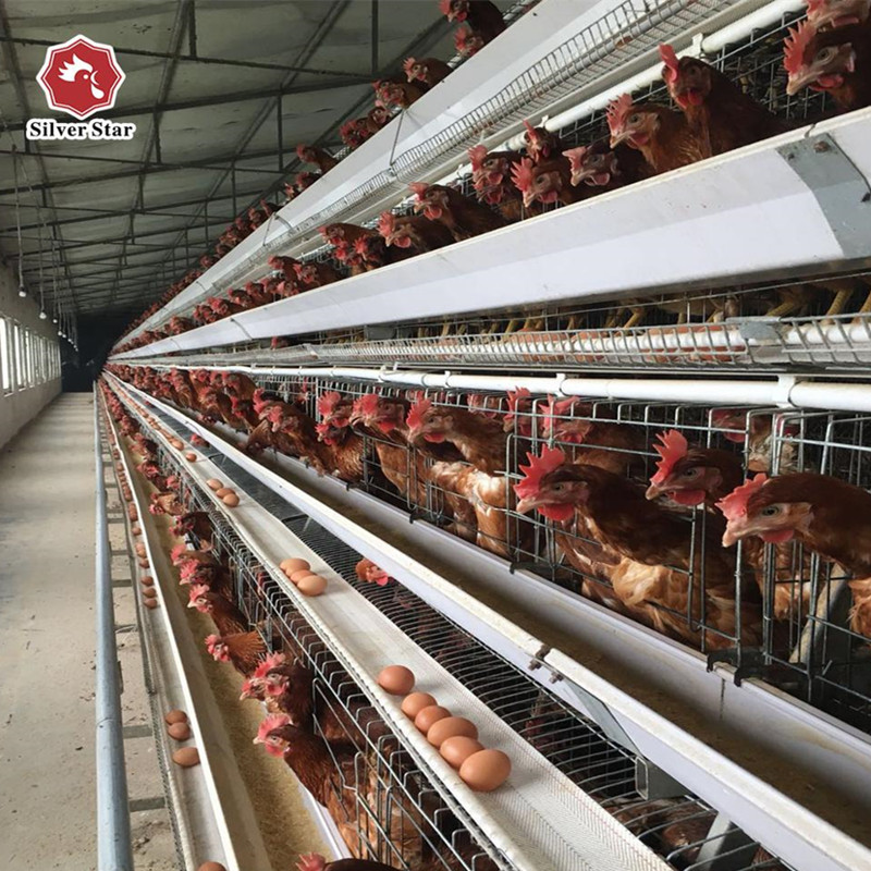 90/96/120/128/160 Birds Layer Chicken Cage System Farming A Type 3 Or 4 Tiers