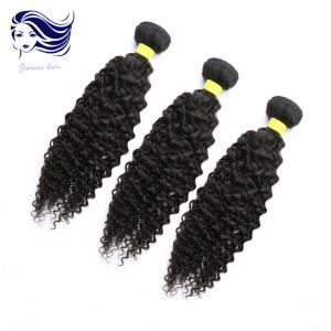 Quality 24inch Virgin Cambodian Hair Tangle Free Natural Black Jerry Curly wholesale