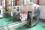 Plastic Bottle Filling And Sealing Machine Sauce And Water Bottle Packaging