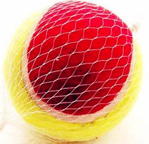 Quality 3'' Bone Tennis Ball wholesale