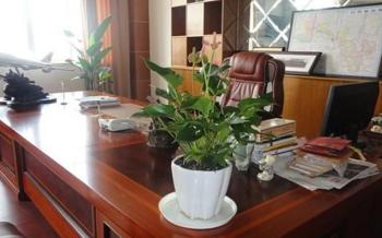 Chongqing Qing Cheng Agricultural Science And Technology Co., Ltd.