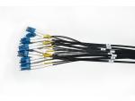 2 Core AARC - LC 24 Core LC Male Outdoor Cable Assembly For Surveillance Systems