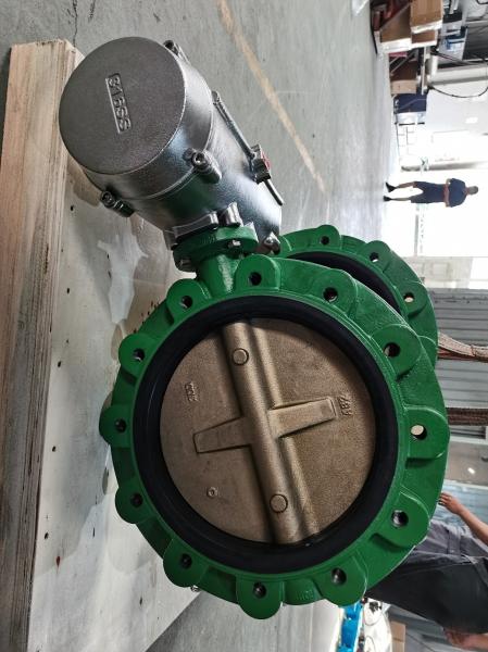 SS316 Pneumatic Butterfly Valve Air Operated Marine Service Seawater ABS