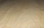 Nature Maple Birch Wood Veneer Sliced Cut , Hardwood Veneer Sheets