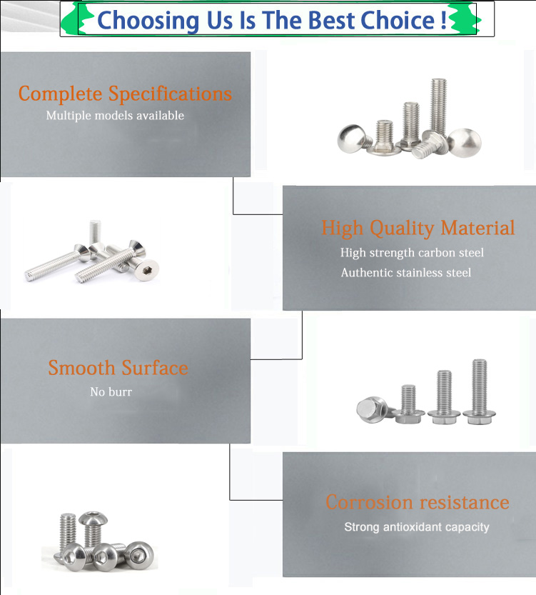 SS304 Stainless Steel M3 M4 M5 M6 M8 M10 Carriage Bolts with ISO9001 2015 Certificate