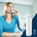 LT1000P French Door Refrigerator Water Filter Replacement Compatible with