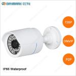 Motion Detective P2P Mini Bullet Network Security Cam