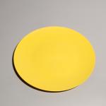 Customized Round Eco Friendly Plastic Food Trays