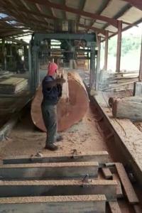 Quality 15KW 22KW Hard Log Circular Sawmill 1300mm Circular Saw Lumber Mill wholesale