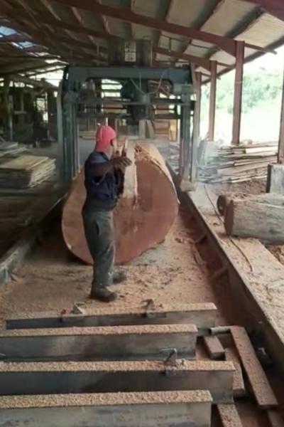 15KW 22KW Hard Log Circular Sawmill 1300mm Circular Saw Lumber Mill