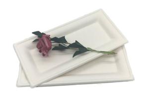 Quality Sugarcane Rectangle Dinner 10&quot;×5” Biodegradable Food Trays wholesale