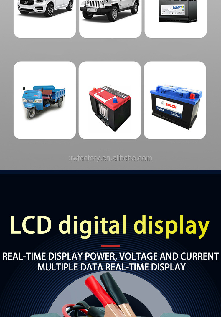 Professional 125W Output Power 15W/10W/7.5W/5W Car Charger 12V 10A 24V 5A Battery Charger/Maintainer for Car Motorcycle