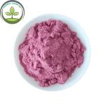 Hot Sale Poland Aronia Berry Powder / Aronia Powder