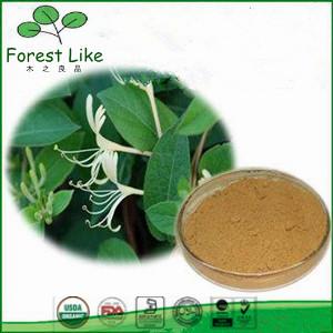 Quality Superior Quality Featured Product 5%-98%Chlorogenic Acid Honeysuckle Flower Extract wholesale
