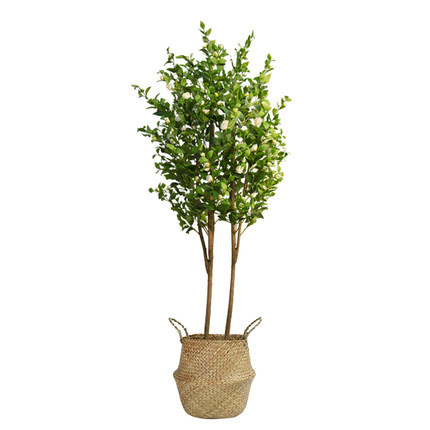 PE Fabric Artificial Camellia Tree White Flower Customized Size