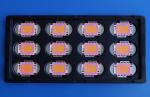 Bridgelux or Epistar COB LED