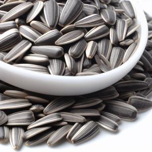 Quality Enhance Your Farming Efficiency with Sunflower Seeds S3 wholesale