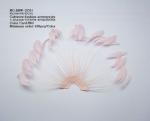15x30cm Stripped Coque Feather Blower , Hand Held Feather Fans For Wedding