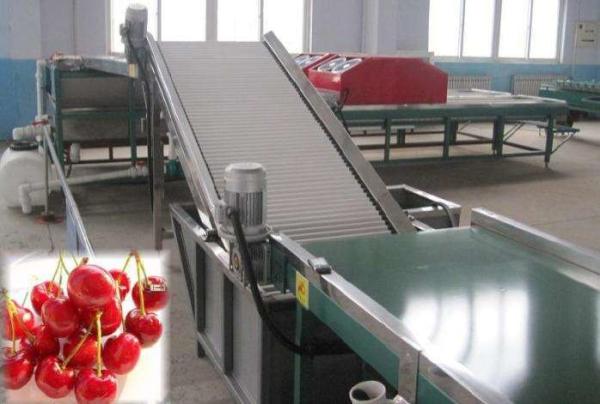 High Efficiency Fruit Juice Making Machine Lychee Wine Light Sweet Processing