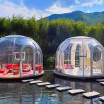 Fashion Clear Bubble Tents