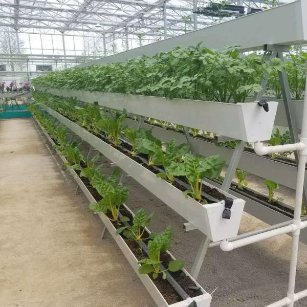 Highly Multi-Span Vertical Farming Container Greenhouse with Substrate Culture