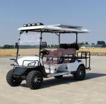 6 Seater Golf Cart Logo Printing Customized Adult Rechargeable Tourist