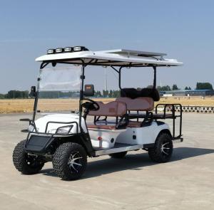 Quality 6 Seater Golf Cart Printing Customized Adult Rechargeable Tourist Sightseeing Car wholesale