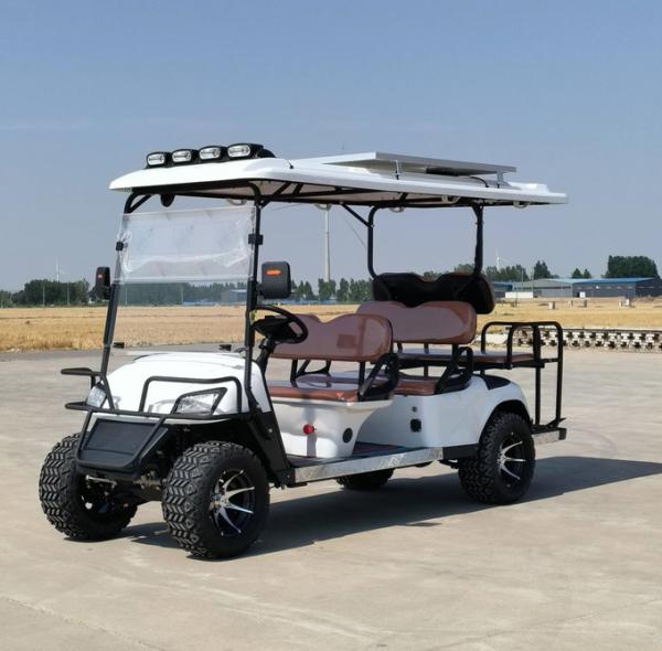 6 Seater Golf Cart Logo Printing Customized Adult Rechargeable Tourist