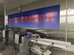 SEW motor Frozen Twister Automatic Churro Machine