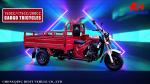 DAYANG Prince 150CC/175CC/200CC Cargo Tricycle for Africa and Southeast Asia