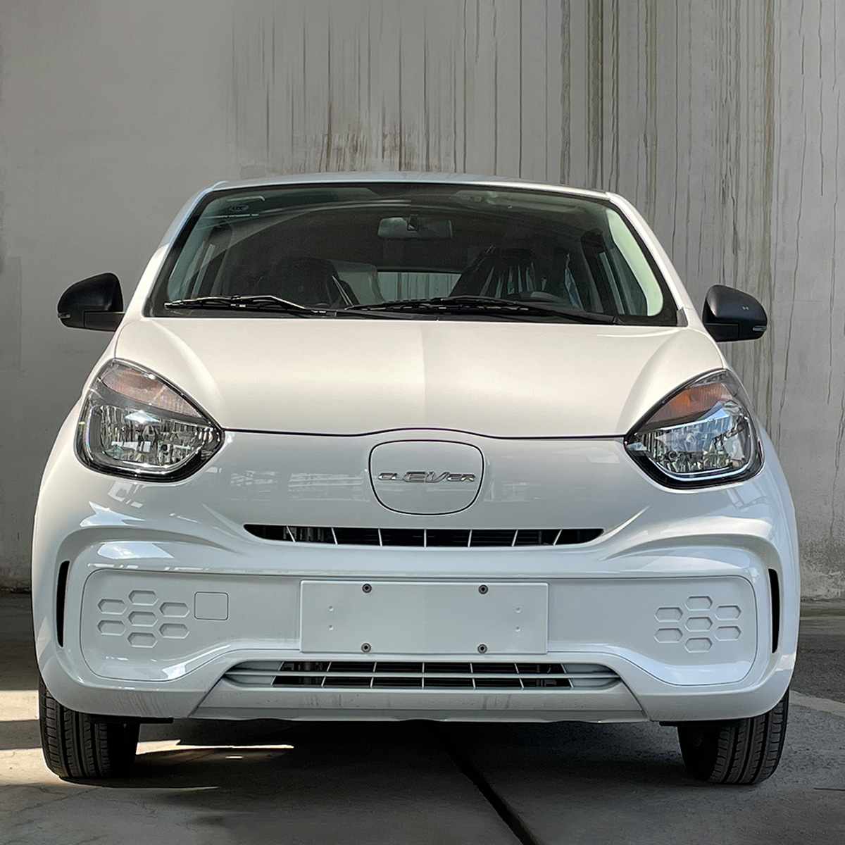 Front Suspension MacPhersan Type Independent Saic Roewe Clever Electric Mini Car for Adults 4 Seater Energy EV Vehicle