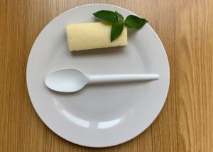 Quality Compostable Disposable Cpla Cutlery 6.5 Inch Spoon wholesale