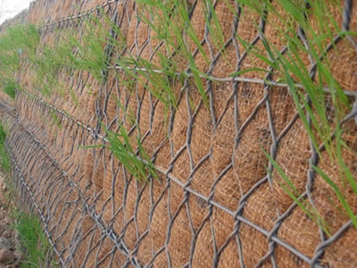 Woven Net Galvanized Coating Hexagonal Gabion Iron Wire Mesh for Bending Service