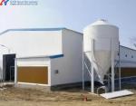 Light Steel Structure Egg Chicken Farm , Prefabricated Steel Chicken Farm